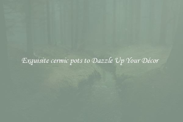 Exquisite cermic pots to Dazzle Up Your Décor  