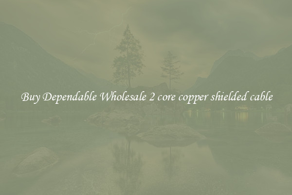 Buy Dependable Wholesale 2 core copper shielded cable
