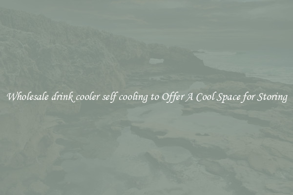 Wholesale drink cooler self cooling to Offer A Cool Space for Storing