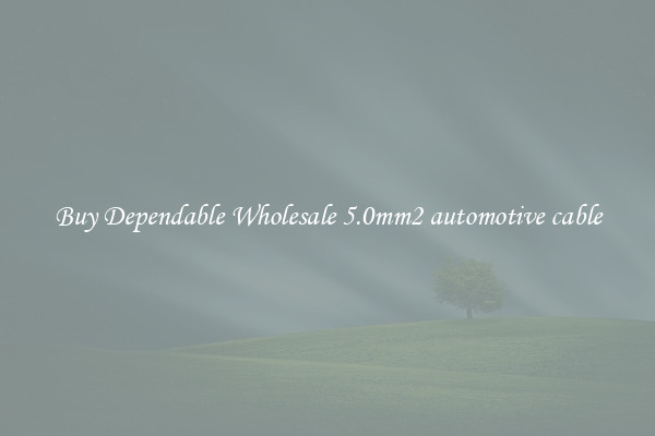 Buy Dependable Wholesale 5.0mm2 automotive cable