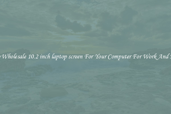 Crisp Wholesale 10.2 inch laptop screen For Your Computer For Work And Home