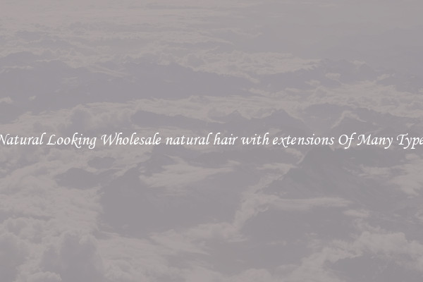Natural Looking Wholesale natural hair with extensions Of Many Types