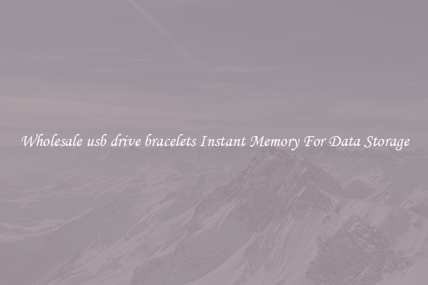 Wholesale usb drive bracelets Instant Memory For Data Storage