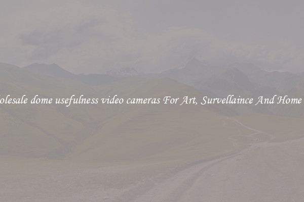 Wholesale dome usefulness video cameras For Art, Survellaince And Home Use