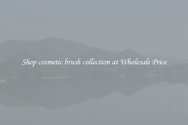 Shop cosmetic brush collection at Wholesale Price