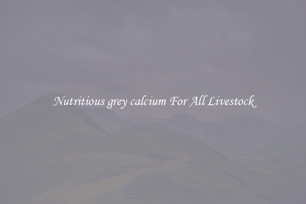 Nutritious grey calcium For All Livestock