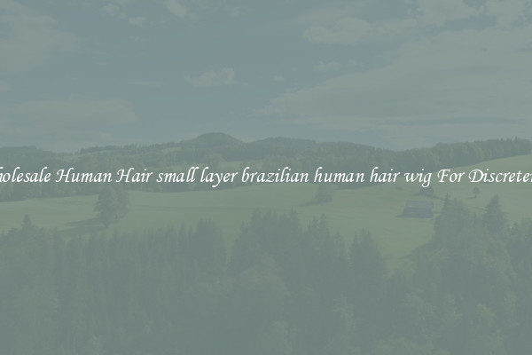 Wholesale Human Hair small layer brazilian human hair wig For Discreteness
