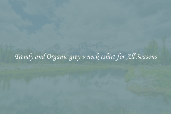 Trendy and Organic grey v neck tshirt for All Seasons