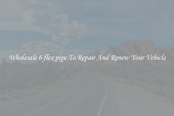 Wholesale 6 flex pipe To Repair And Renew Your Vehicle