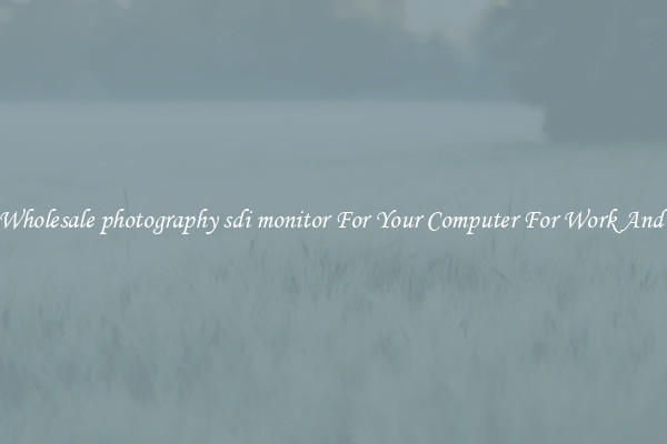 Crisp Wholesale photography sdi monitor For Your Computer For Work And Home