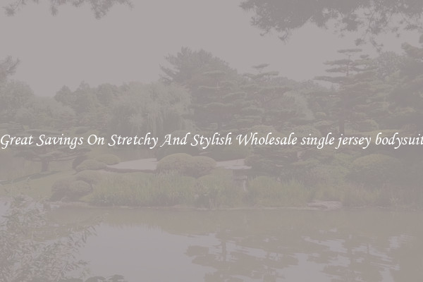 Great Savings On Stretchy And Stylish Wholesale single jersey bodysuit