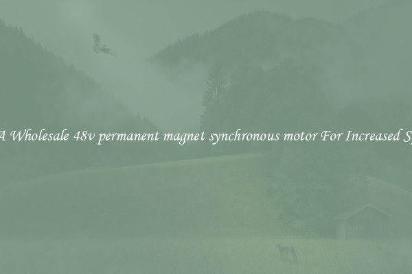 Get A Wholesale 48v permanent magnet synchronous motor For Increased Speeds