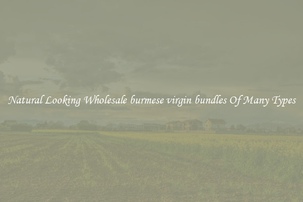 Natural Looking Wholesale burmese virgin bundles Of Many Types