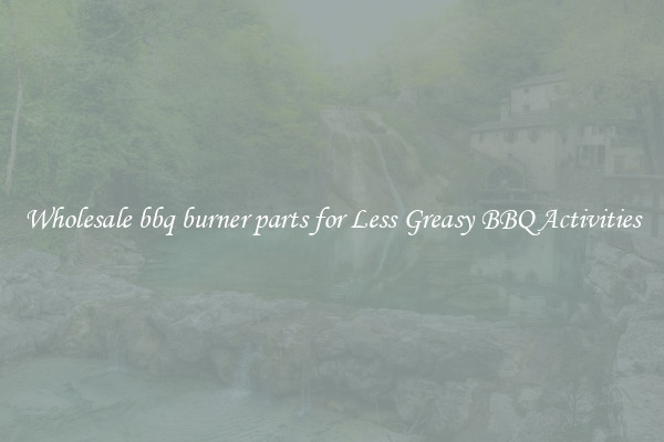 Wholesale bbq burner parts for Less Greasy BBQ Activities