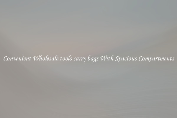 Convenient Wholesale tools carry bags With Spacious Compartments