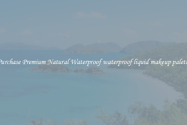 Purchase Premium Natural Waterproof waterproof liquid makeup palette
