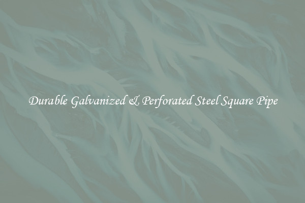 Durable Galvanized & Perforated Steel Square Pipe